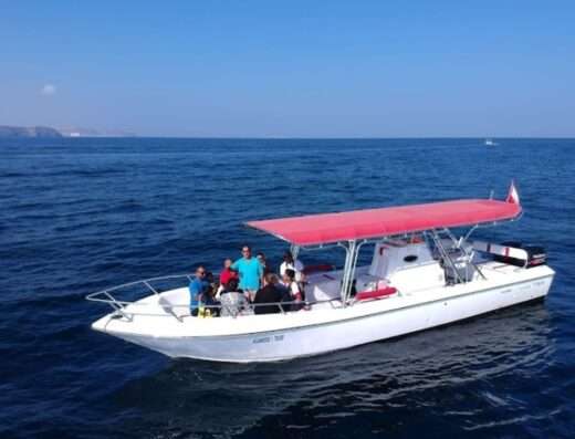 Fishing and Dolphin Watching Tour in Oman