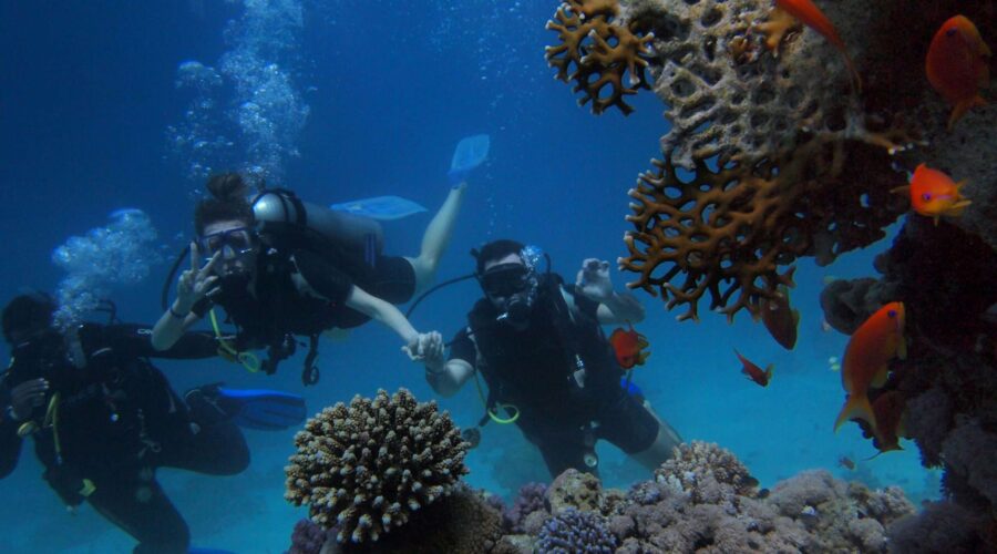 Coral Reefs Saudi Arabia: Discover Them with Boatify